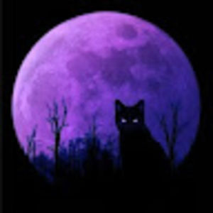 Meet your Posher, Lacey